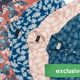 $27 Summer Prints | JACHS NY | Promo Code PN27